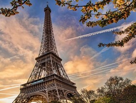 عکس | گردش آزادانه پرندگان پس از قرنطینه سراسری در پاریس