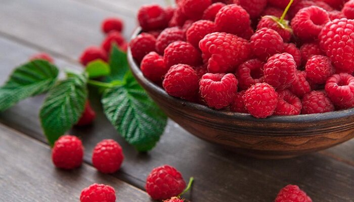 ۵ خوراکی برای تقویت حافظه و تمرکز