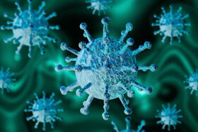 مهم‌ترین محافظ ما برای مبارزه با ویروس کرونا چگونه عمل می‌کند؟