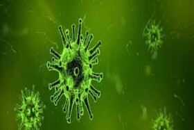 همشهری TV | آیا آمارهای رسمی کرونا قابل اعتماد است؟