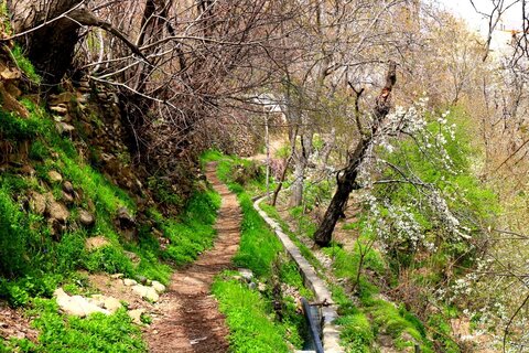 طبیعت بهاری روستاهای غرب تهران