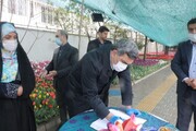230 هزار شاخه لاله، هدیه به شهدای کادر درمانی