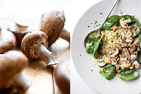 طرز تهیه سالاد قارچ | میان‌وعده‌ای گیاهی، جذاب و متفاوت برای روزهای قرنطینه