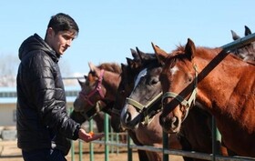 تصاویر | ماجرای اصطبل ۱۰ میلیارد تومانی سردار آزمون