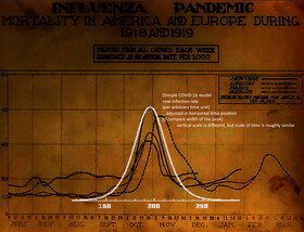 آیا باید منتظر موج دوم پاندمی کووید ۱۹ باشیم؟