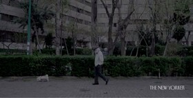 ببینید |  قرنطینه تهران به روایت نیویورکر