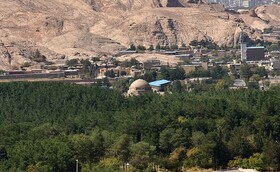 افزایش مساحت جنگل دست‌ کاشت کرمانی‌ ها