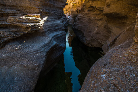 کال جنی