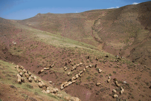 خشکسالی اردبیل