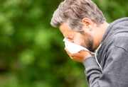 آلرژی زمستانه چه تفاوتی با سایر حساسیت‌ های فصلی دارد؟ | گرده‌ هایی که تا زمستان باقی می‌ مانند | اثر عجیب باران روی برخی افراد مبتلا به آلرژی