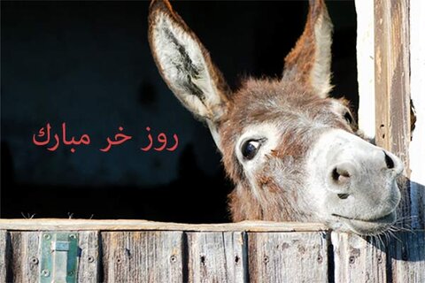 روز خر مبارک!