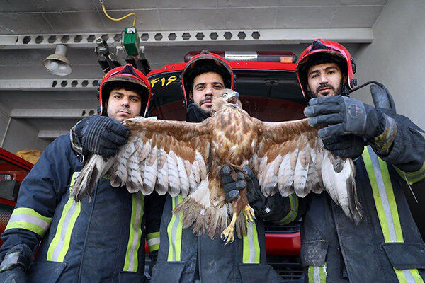 عقاب آتش‌نشانی