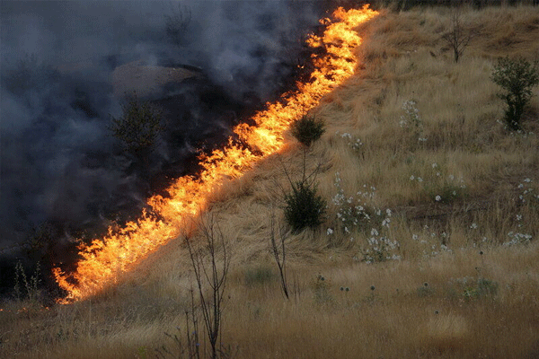 سوزاندن پسماند مزارع