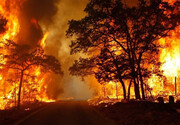 حریق در جنگل‌های غرب کشور؛ ۴ استان درگیر آتش‌سوزی شده‌اند | اعزام ۵ بالگرد و یک هواپیمای آب‌پاش به منطقه