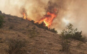 باد شدید آتش جنگل‌های گلستان را شعله‌ور کرد| ۲۰ هکتار از عرصه‌های منابع طبیعی طعمه حریق شد