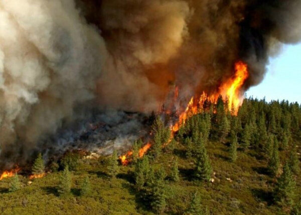 آتش‌سوزی جنگل