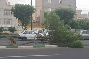 حوادث اولین بارش باران پاییزی در تهران | شکستن درخت‌ها باعث ترافیک سنگین شد | وضعیت ترافیک معابر