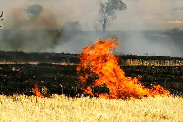 آتش سوزی مزارع