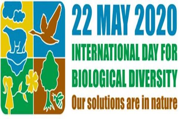 روز جهانی تنوع زیستی