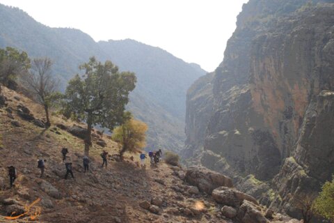 آبشار زرد لیمه