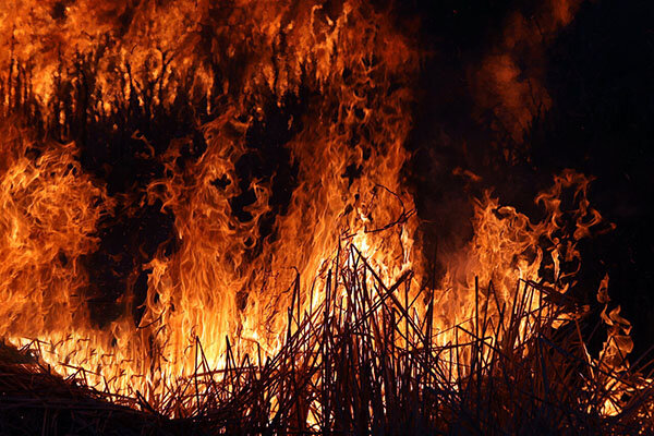 آتش‌سوزی مراتع