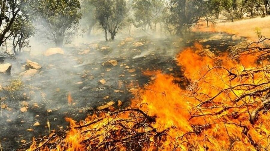 آتش سوزی جنگل های زاگرس