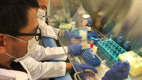 تاثیر داروی ضد سوزش معده در کاهش علائم بیماری کووید ۱۹