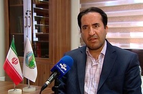 فیلم |‌ مجازات آتش زدن جنگل‌ها تعیین شد