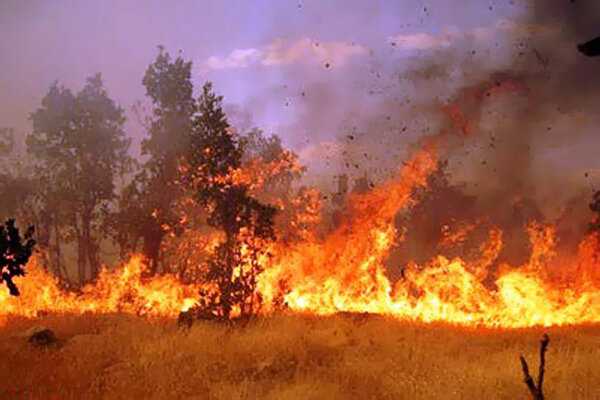 آتش سوزی منابع طبیعی