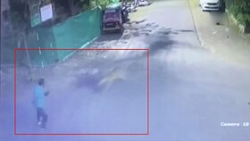 فیلم | لحظه حمله وحشتناک پلنگ به عابر پیاده