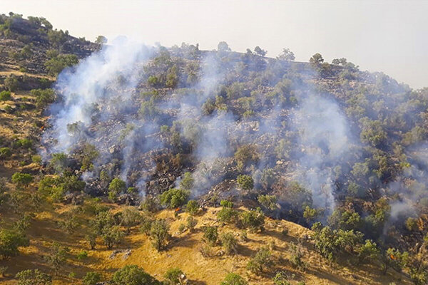 آتش‌سوزی منابع طبیعی