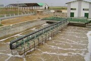 ادعای ورود فاضلاب به شبکه توزیع آب خوزستان صحت ندارد