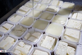 سرزمین پنیر ایران سفیدپوش شد + تصاویر