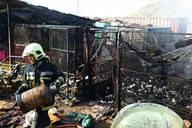 حریق در بازار گل امام رضا | ۳۲ غرفه طعمه آتش شد