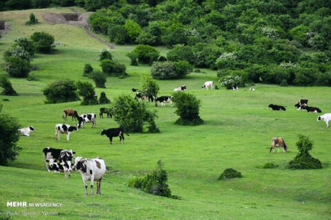 طبیعت‌گردی در اردبیل