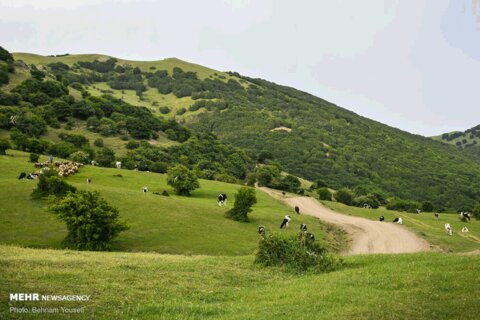 طبیعت‌گردی در اردبیل