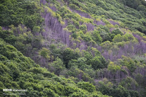 طبیعت‌گردی در اردبیل