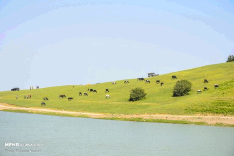 طبیعت‌گردی در اردبیل