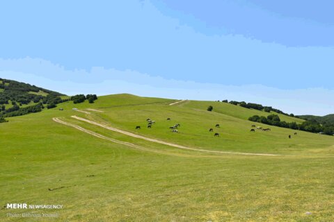 طبیعت‌گردی در اردبیل