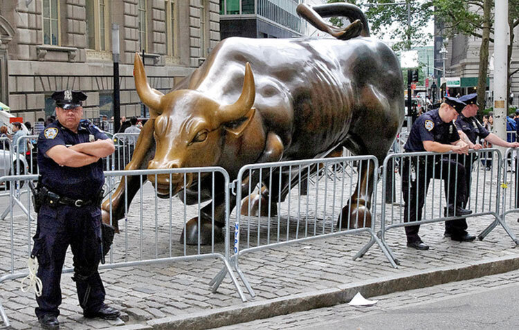 مراقبت پليس آمريكا از گاو پولساز منهتن
