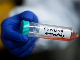 نگرانی درباره مصونیت پس از عفونت کرونا| آنتی‌بادی‌های ضد کرونا ۲ تا ۳ ماه پس از بهبودی ممکن است ناپدید شوند
