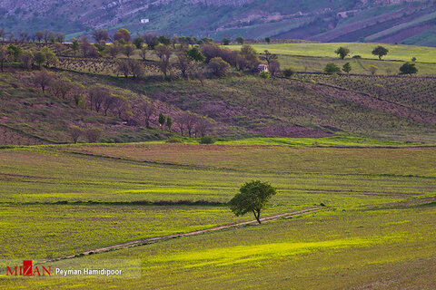 طبیعت زیبای خراسان شمالی