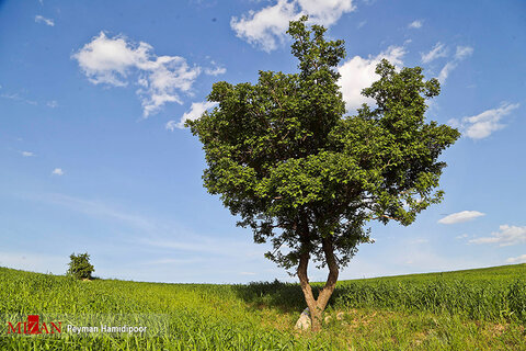 طبیعت زیبای خراسان شمالی