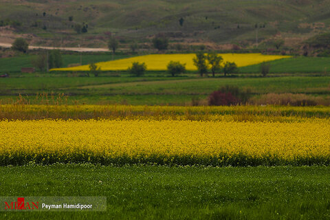 طبیعت زیبای خراسان شمالی