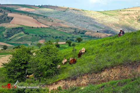 طبیعت زیبای خراسان شمالی