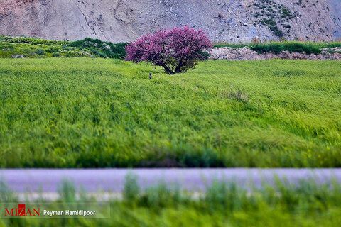 طبیعت زیبای خراسان شمالی