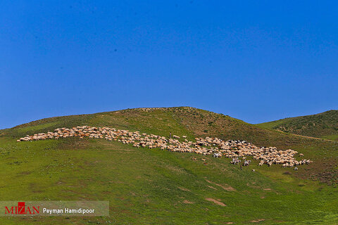 طبیعت زیبای خراسان شمالی