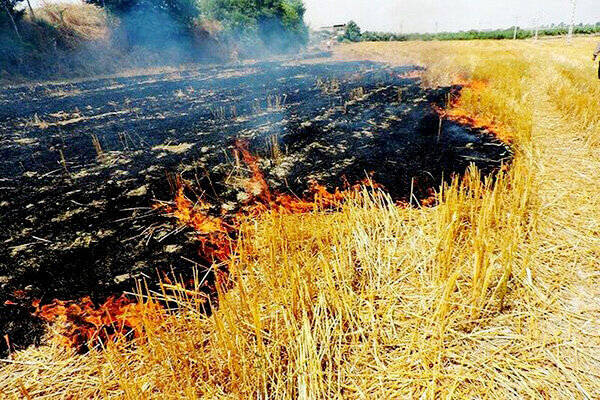 آتش‌سوزی زمین کشاورزی