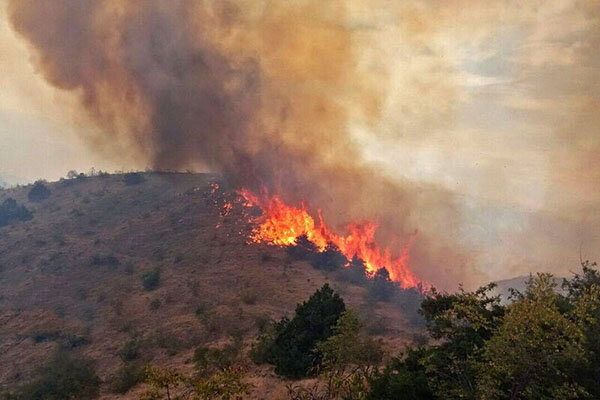آتش سوزی منابع طبیعی