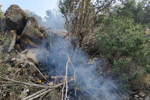 آتش سوزی در جنگل